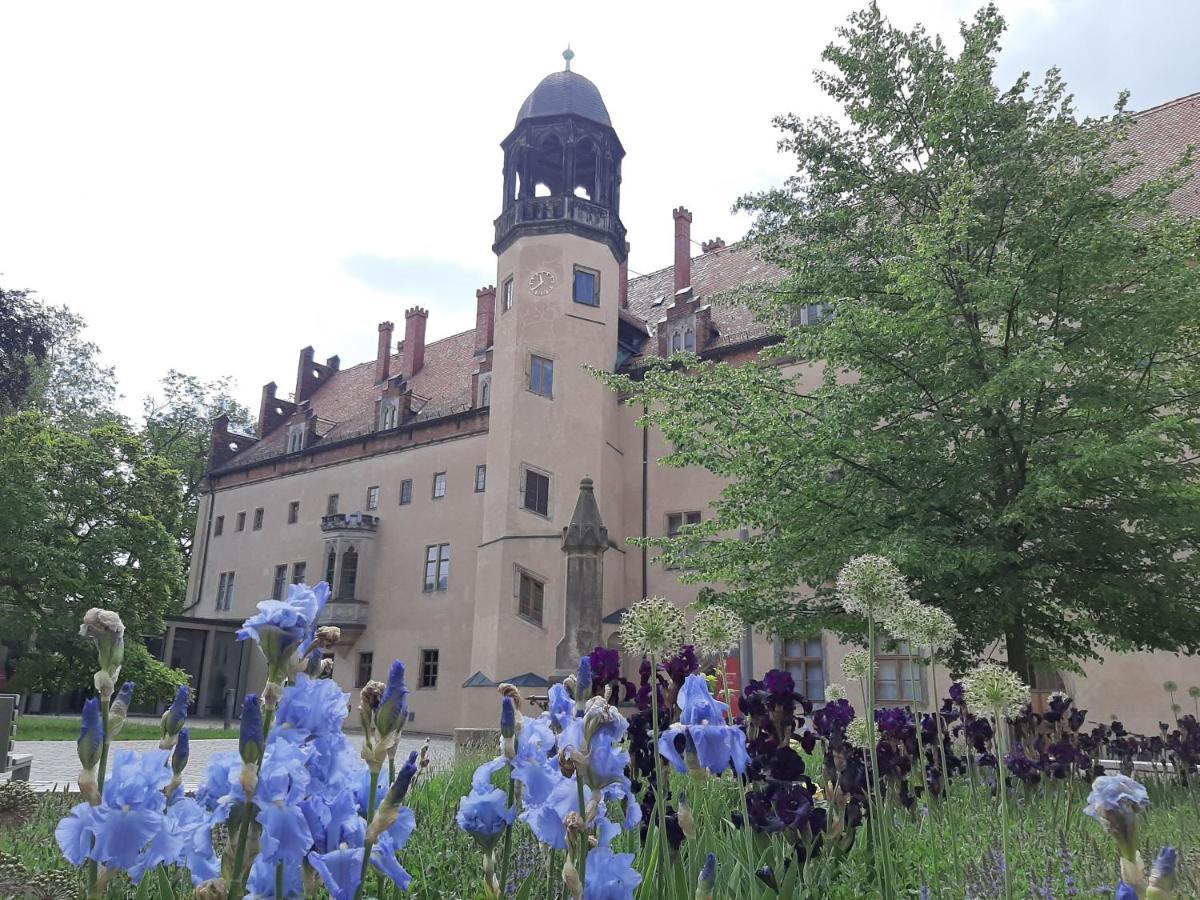 Fewo Rosenbluete Am Stadtpark Wittenberg Buitenkant foto
